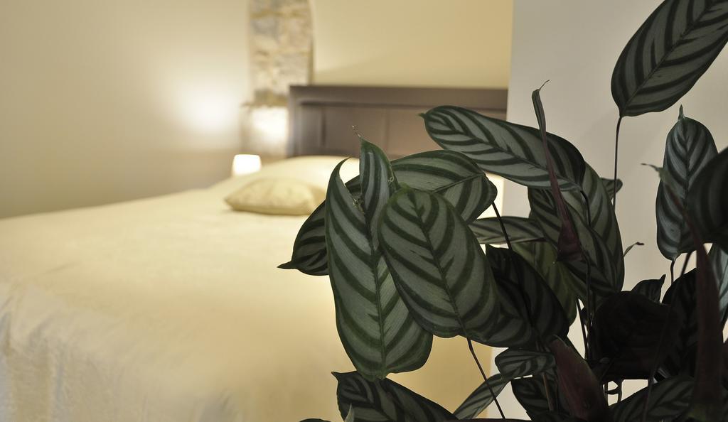Stagnja Pensionat 4*